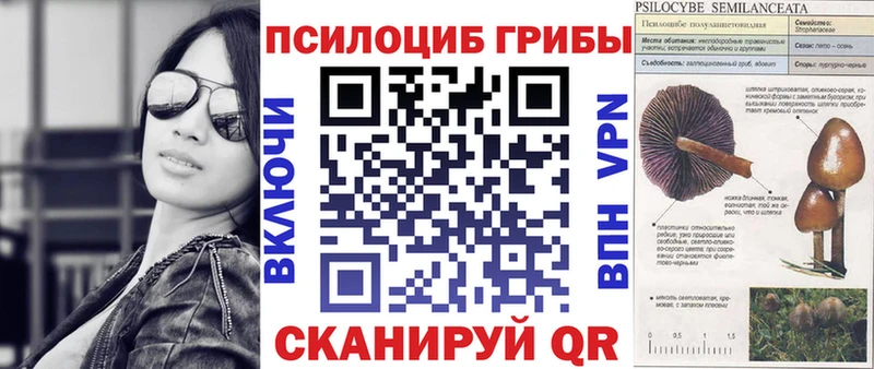 Галлюциногенные грибы Magic Shrooms  Купить где  Барыш 